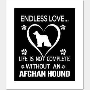 Afghan Hound Lovers Posters and Art